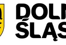 Zapytanie ofertowe w ramach Regionalnego Programu Operacyjnego dla Województwa Dolnośląskiego na lata 2007-2013.