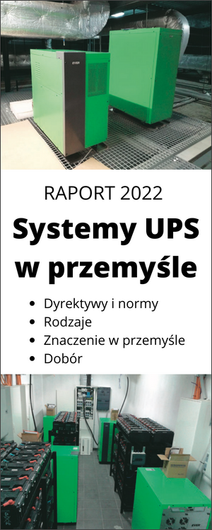 Raport UPS 2022